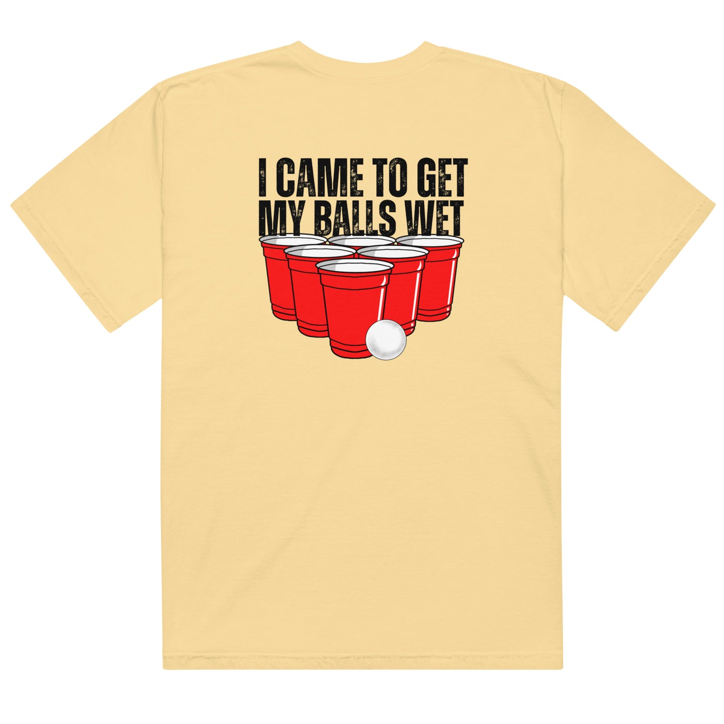 I CAME HERE TO GET MY BALLS WET T-SHIRT